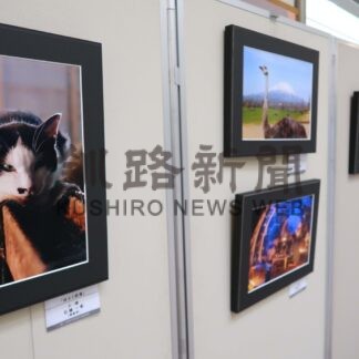 入賞・入選作品など９３点　根室で二科会写真部道支部巡回展【根室】(2023-12-02)