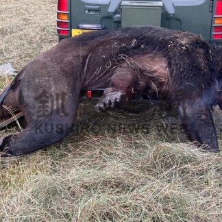 ２０２３年編集局が選ぶ釧根十大ニュース【釧路市】_2(2023-12-27)