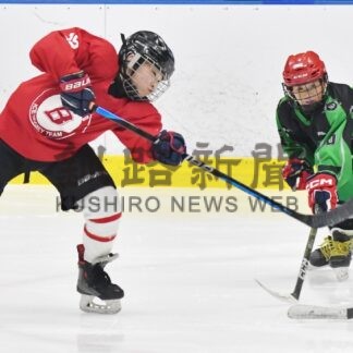 小林 意地の２得点　全道小学生アイホ【札幌】_1(2024-01-09)