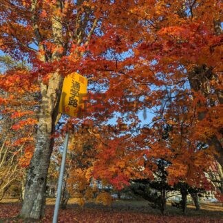 鶴居村フォトコンテスト２０２３㊦【鶴居】_2(2024-01-05)