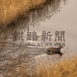鶴居村フォトコンテスト２０２３㊦【鶴居】_1(2024-01-05)
