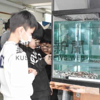 興味深くサケの仔魚観察　標津小２年生で学習始まる【標津】(2024-01-21)