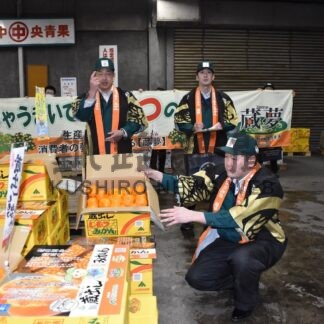 「しもつみかん」釧路で出荷開始【釧路市】(2024-01-27)