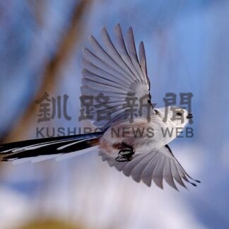 鶴居村フォトコンテスト２０２３㊦【鶴居】(2024-01-05)