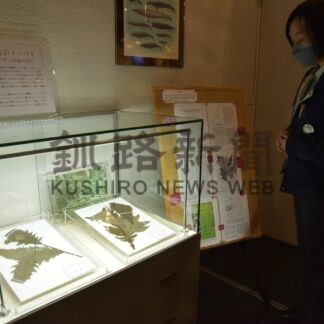 新種のアザミ紹介　市立博物館でミニ展示【釧路市】(2024-02-24)