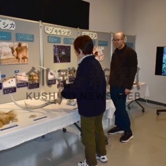 冬の動物 見て触って　写真や動画展示　霧多布湿原センター【浜中】(2024-03-12)