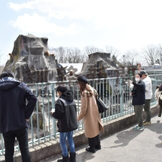 「動物園ビンゴ」で散策楽しむ【釧路市】(2024-03-31)