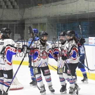 Ｄａｉｓｈｉｎ決勝ならず　全日本女子アイスホッケー【札幌】(2024-03-10)