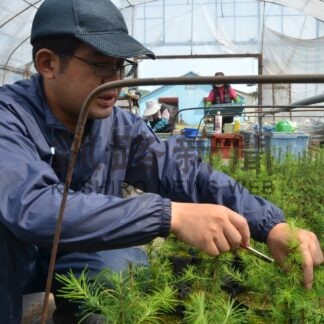 クリーンラーチの森造成へ　釧路市と総合振興局が協定【釧路市】_1(2024-03-20)