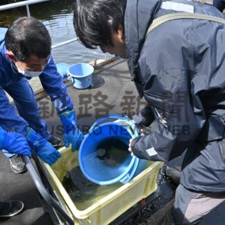 マリモ 冬眠からお目覚め　阿寒湖で引き揚げ作業【釧路市】(2024-04-27)