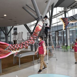 遊学館にこいのぼり５匹設置【釧路市】(2024-04-10)