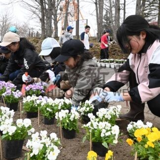 動物園を花で彩り　山花小中生が植え込み作業【釧路市】(2024-04-25)
