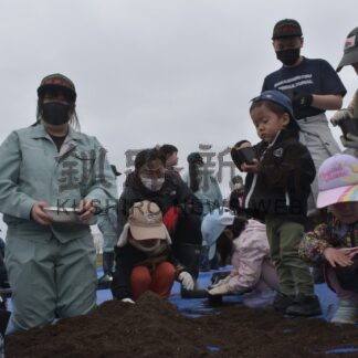 ハロウィーン用のカボチャ大きく育て　中標津農高生ら種植え【中標津】(2024-04-28)