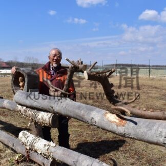 自然木のオブジェ展示　釧路の品田さん、夢風舎前庭に新作【厚岸】(2024-04-03)