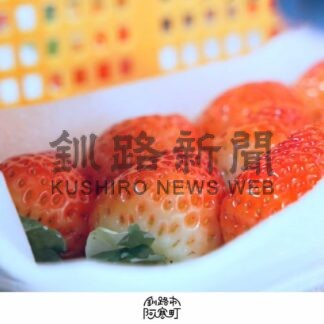 協力隊の２人、阿寒地域の魅力を２分で紹介する動画製作【釧路市】(2024-04-09)