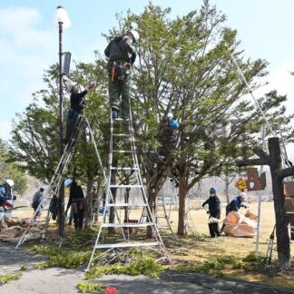 釧路市動物園で樹木の手入れ　釧路造園技能士会【釧路市】(2024-04-14)