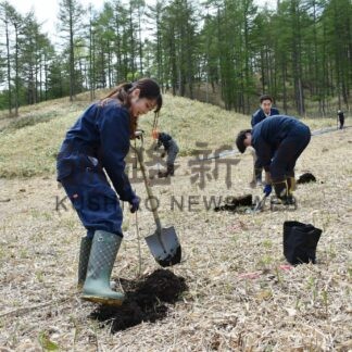 「森と川の月間」でハルニレなど700本植樹【標茶】(2024-05-23)