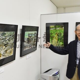 西別川の動植物や風景　博物館で松本さん写真展【標茶】(2024-05-26)