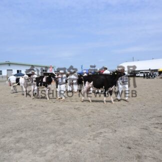 釧路で乳牛審査会　チャンピオン牛決まる【釧路市】(2024-05-24)