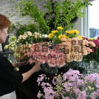 「母の日」に感謝を込めて　フラワー＆カフェ「椿」でカーネーション１０種用意【釧路市】(2024-05-11)