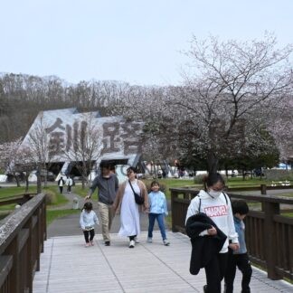 釧路町でサクラ楽しむ【釧路町】(2024-05-12)