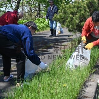 鶴野駐車公園付近、会員らごみ拾い　みなとＬＣまりも支部【釧路市】(2024-05-30)