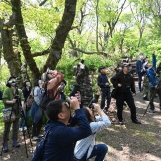野鳥の姿や行動を観察　春採湖畔で探鳥会【釧路市】(2024-05-20)