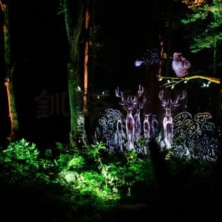 カムイルミナ楽しんで　阿寒湖温泉、１１日から開始【釧路市】(2024-05-03)