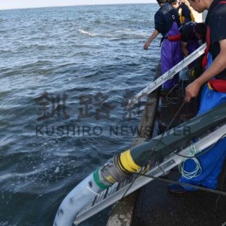 マツカワ今年度も放流 計４．５万匹　管内栽培漁業推進協計画【根室】(2024-06-12)