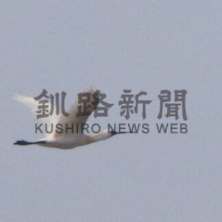 珍鳥を釧路で初確認　絶滅危惧種のクロツラヘラサギ【釧路市】(2024-06-14)