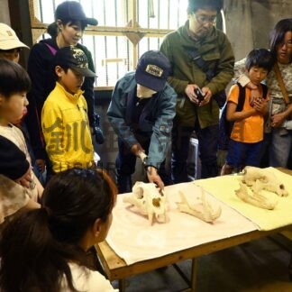 クマの生態親子で学ぶ　釧路市動物園で見学会【釧路市】(2024-06-29)