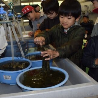 海洋環境理解深める　厚岸で教育イベント【厚岸】(2024-06-02)