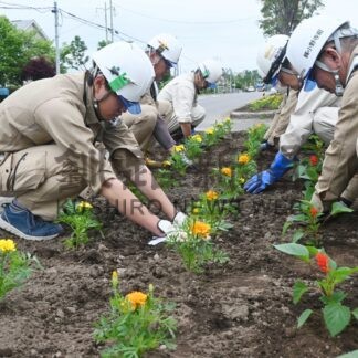 小野寺組、国道沿いに花植え【釧路市】(2024-06-18)
