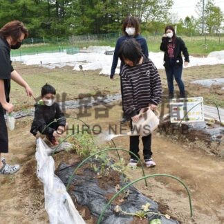 子供ら楽しく土いじり　「ほの花」、野菜作りに挑戦【釧路町】(2024-06-15)