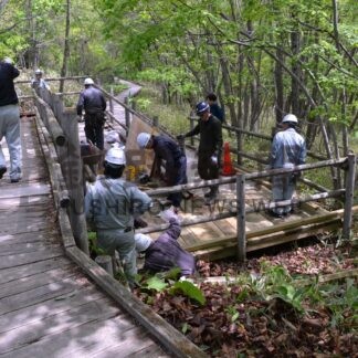大同工業、湿原遊歩道を補修【釧路市】(2024-06-02)