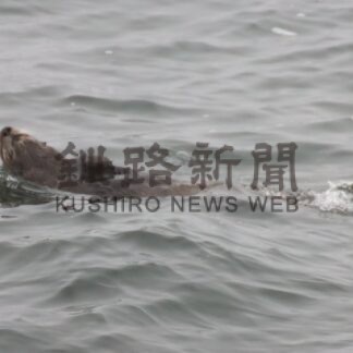 貝殻島コンブ漁始まる　例年より２週間遅れ出漁【根室】_1(2024-06-16)