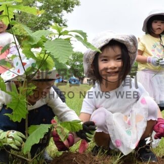 ミズナラ１４本植樹　白樺幼稚園児、育樹運動で【釧路市】(2024-06-26)