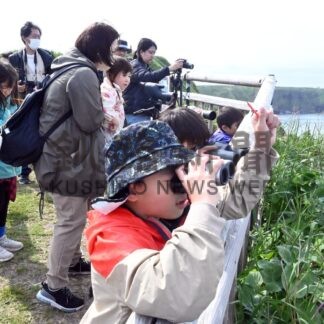 野生ラッコ「見つけた」　家族ら霧多布岬で観察会【浜中】_1(2024-06-13)