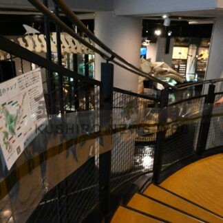 「日本一」ナガコンブ体感　市立博物館、７月７日まで展示【釧路市】(2024-06-21)