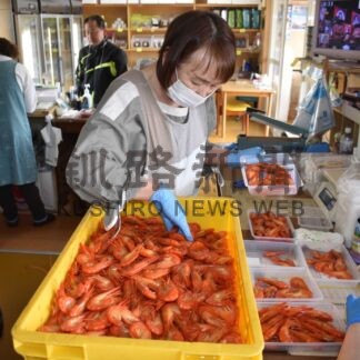 ホッカイシマエビ漁始まる　伝統打瀬舟 湾内飾る【別海】_1(2024-06-27)