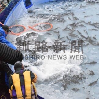 トラウトサーモン海面養殖　早期事業化へ実証試験【根室】(2024-06-12)