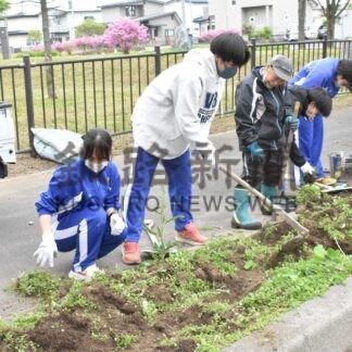 新緑の季節迎え花壇整備【釧路市】(2024-06-15)