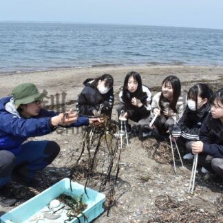 野付半島で自然観察　標津高が海洋教育【別海】(2024-06-20)