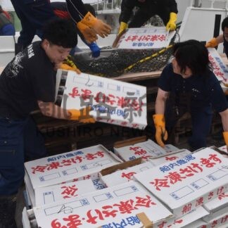 曳き網漁 漁獲量８．２㌧　操業開始以降で最低【根室】(2024-07-13)