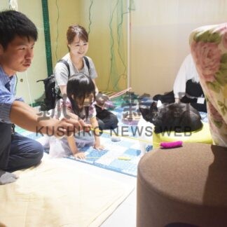 病気やけがの危険知って　標津で保護ねこマルシェ【標津】(2024-07-21)