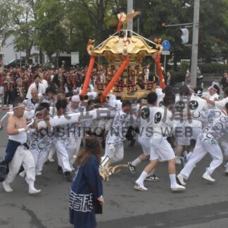 みこし渡御 威勢よく　中標津神社例大祭【中標津】(2024-07-21)