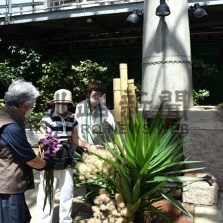 草月流北海道支部釧路会がＥＧＧで生け花共同制作【釧路市】(2024-07-22)