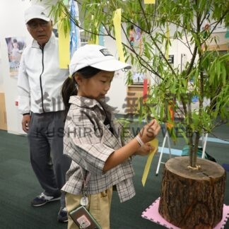 中央図書館に七夕飾り　近藤林業ヤナギの木寄贈【釧路市】(2024-07-31)