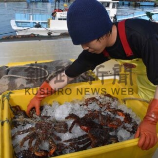 花咲カニかご漁解禁　初水揚げ３・９㌧【根室】(2024-07-12)