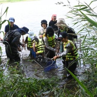 昆虫や魚など生態系を学ぶ　春採湖で観察会【釧路市】(2024-07-28)